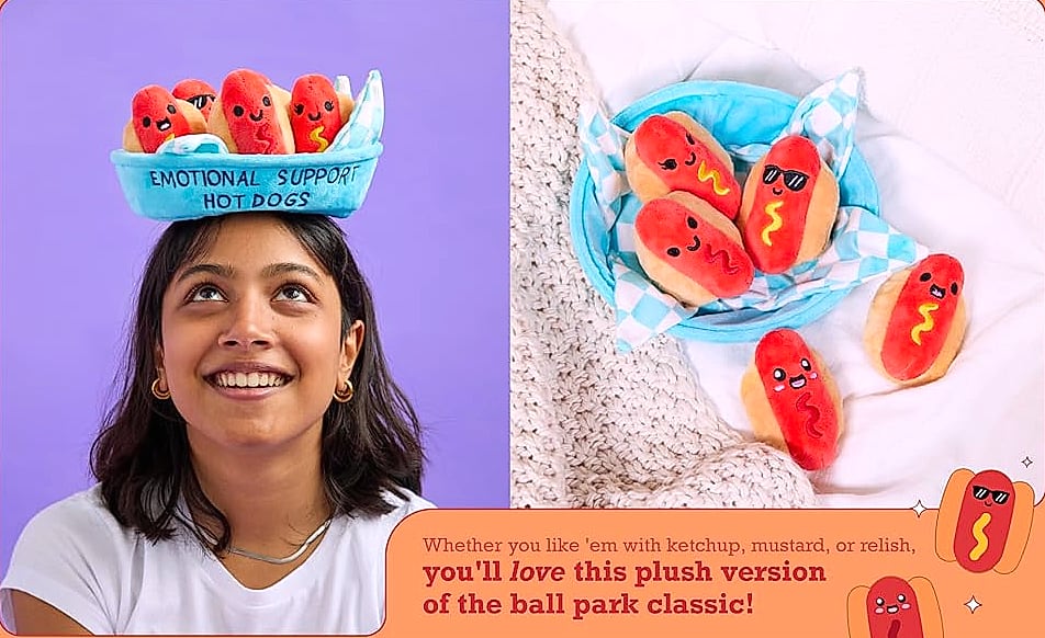 WHAT DO YOU MEME Emotional Support Dumplings Plush Toy Set — package contents