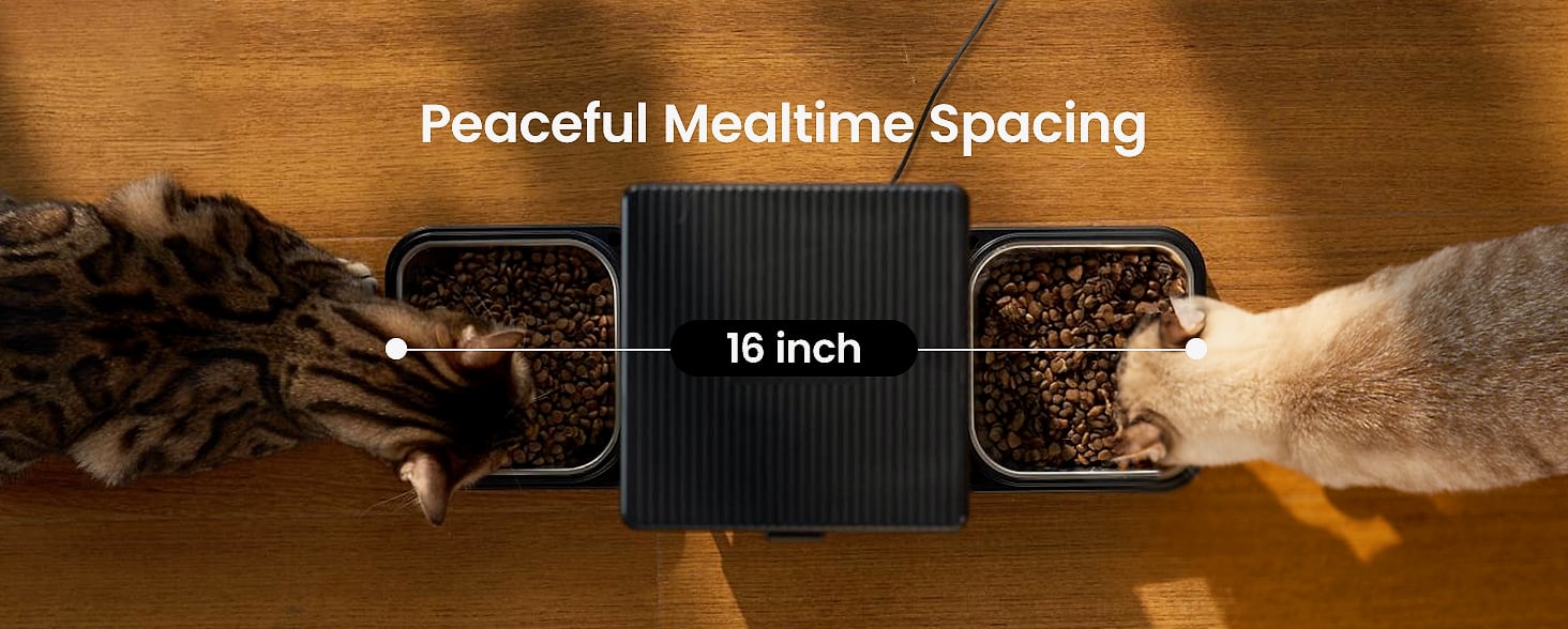 oneisall Automatic Cat Feeder for 2 Cats, 5L Timed Dispenser — close-up details