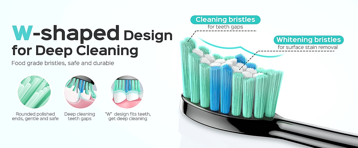 COSLUS C40 Sonic Electric Toothbrush, 47000 VPM Deep Clean — scale reference