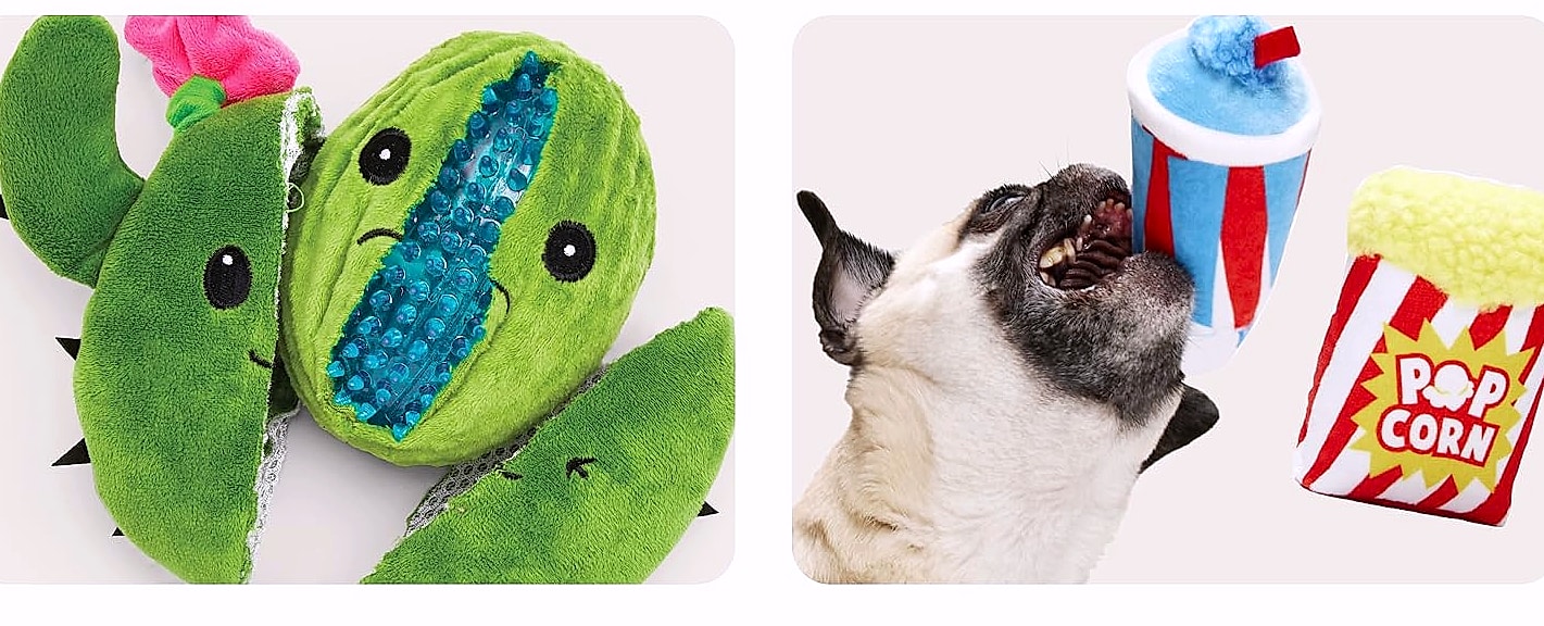 Barkbox Consuela the Cactus 2-in-1 Plush Dog Toy with — close-up details