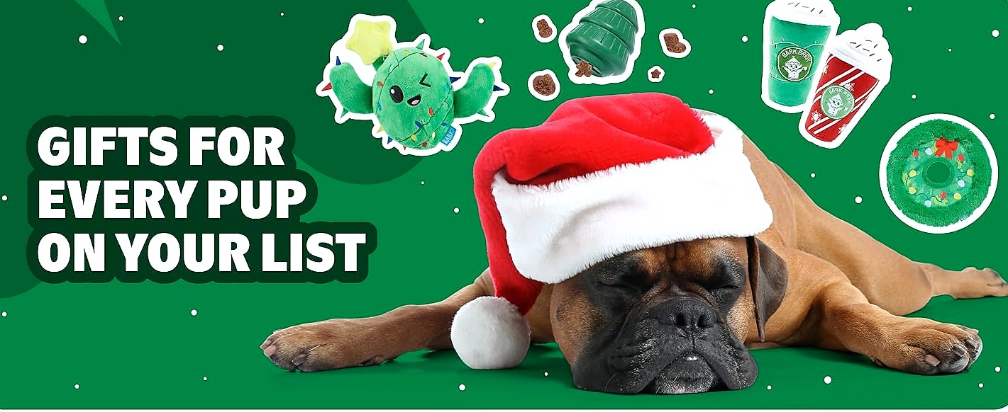 Barkbox Consuela the Cactus 2-in-1 Plush Dog Toy with — side view