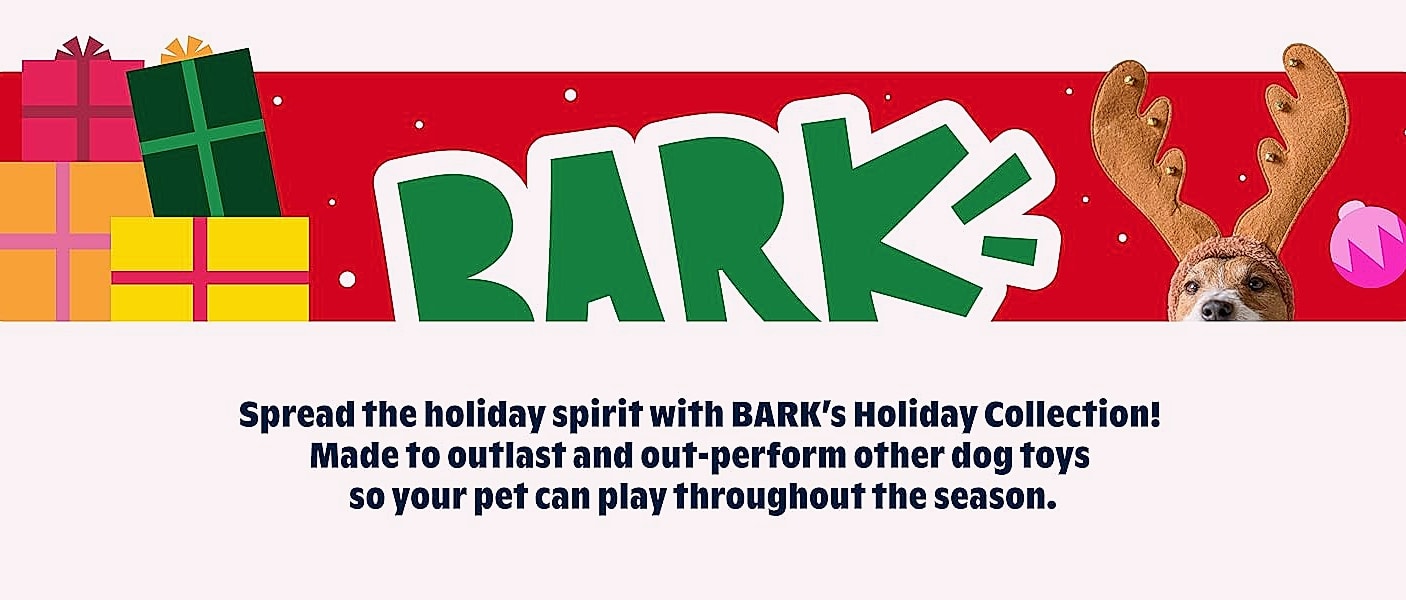 Barkbox Consuela the Cactus 2-in-1 Plush Dog Toy with — feature highlights
