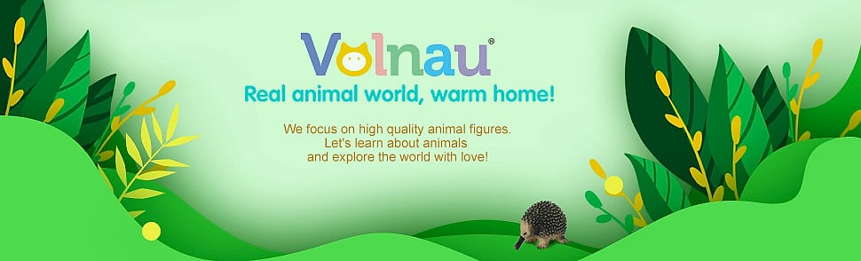 Volnau 12-Piece Insect Figure Set for Kids Educational Toys — package contents