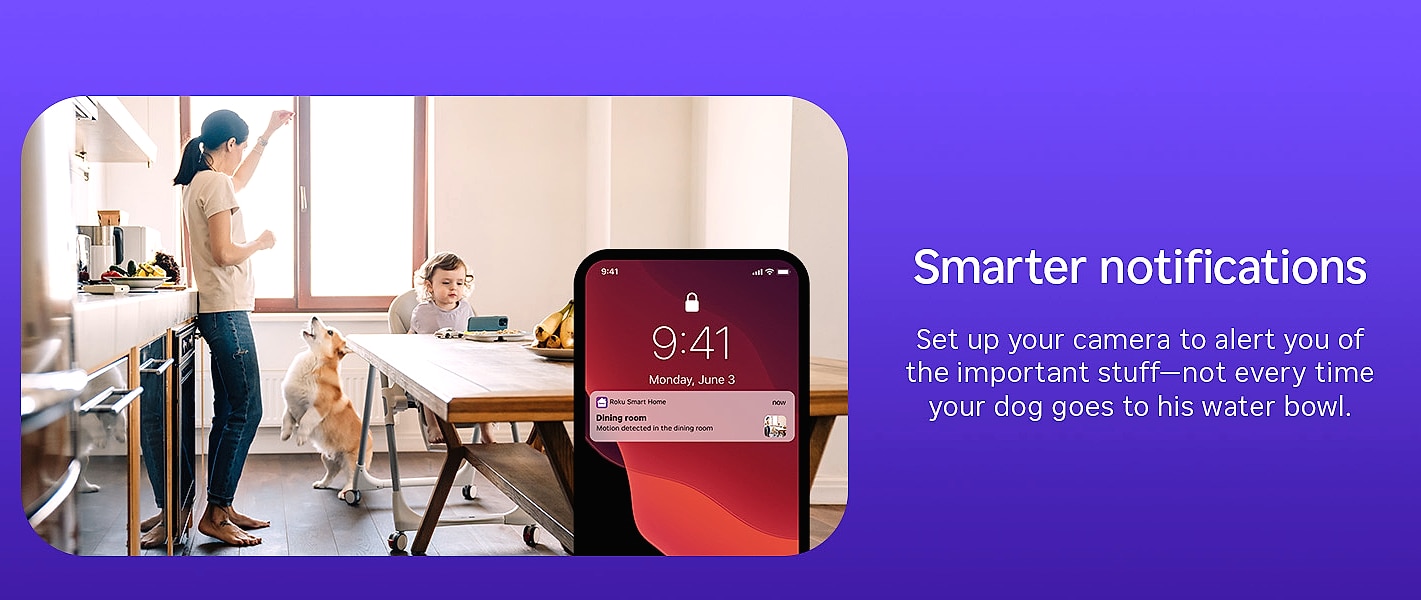 Roku Indoor Camera 2-Pack Wired Home Security with 1080p — close-up details
