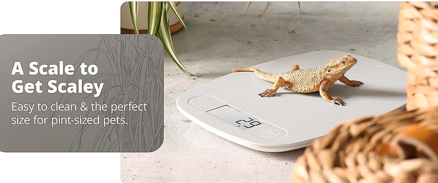 Greater Goods Digital Food Scale, 1g Precision Kitchen Scale — side view