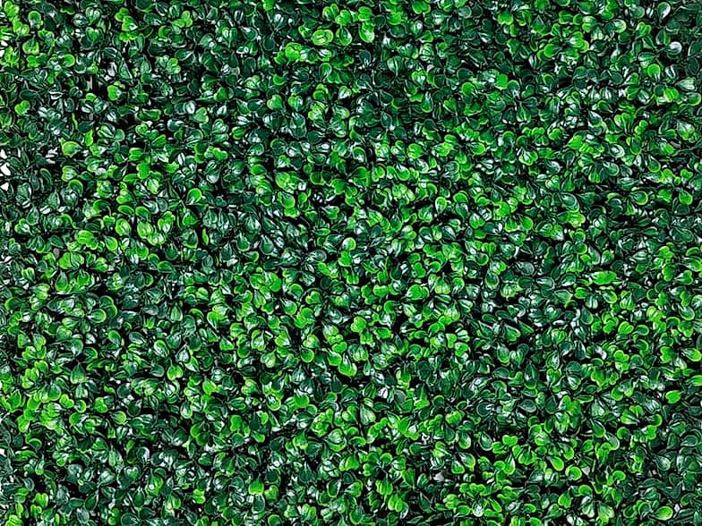 ODTORY Artificial Boxwood Panels 20x20 in, 12 Pack Green — package contents