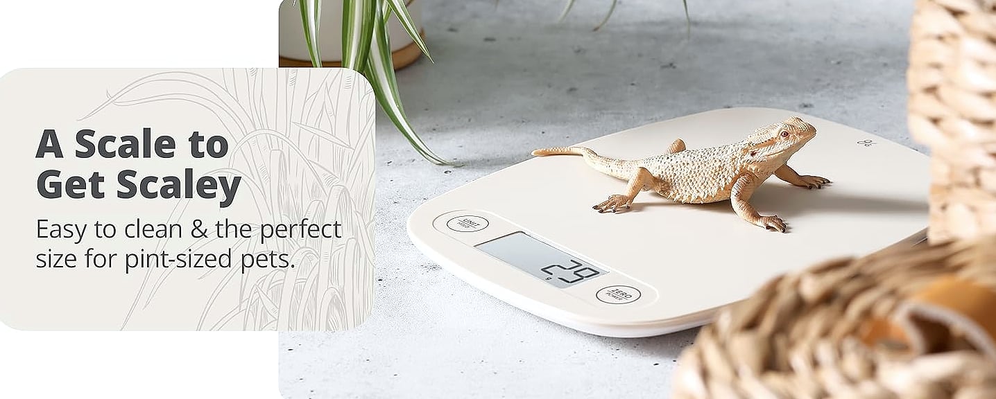 Greater Goods Digital Food Scale, 1g Precision Kitchen Scale — build progress