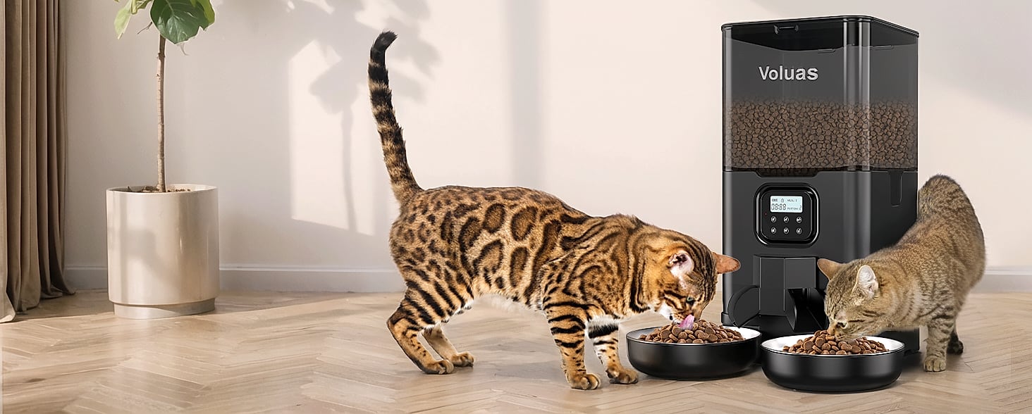 Voluas Automatic Cat Feeder with Voice Recorder and Portion — assembled view