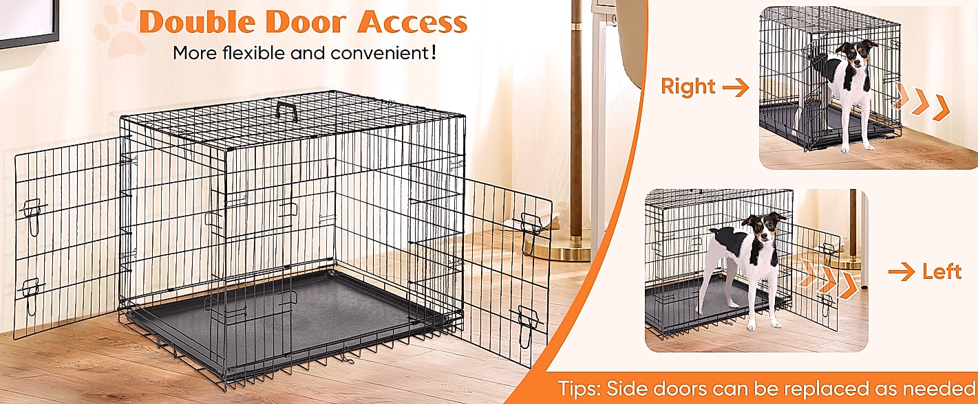 Sweetcrispy 24 Inch Single Door Dog Crate for Small Dogs — scale reference