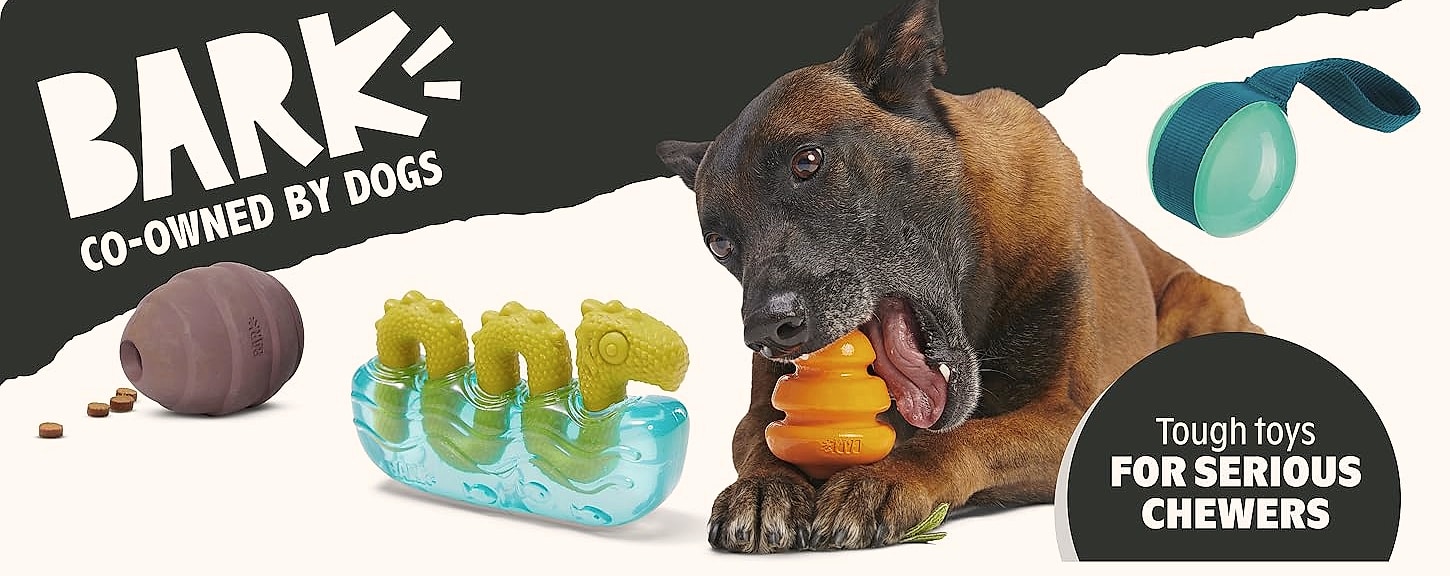 Barkbox Grey Bear Hugger Super Chewer Plush Dog Toy — package contents