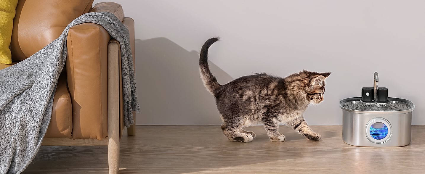 Voluas Automatic Cat Feeder with Voice Recorder and Portion — package contents