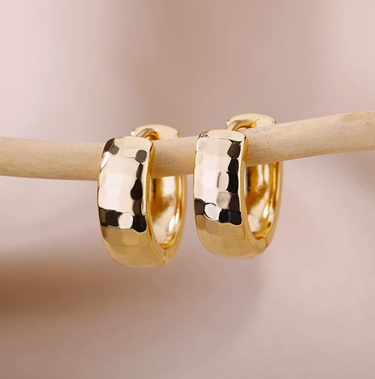 Small Hoop Earrings Stainless Steel Gold Silver Pierced — package contents