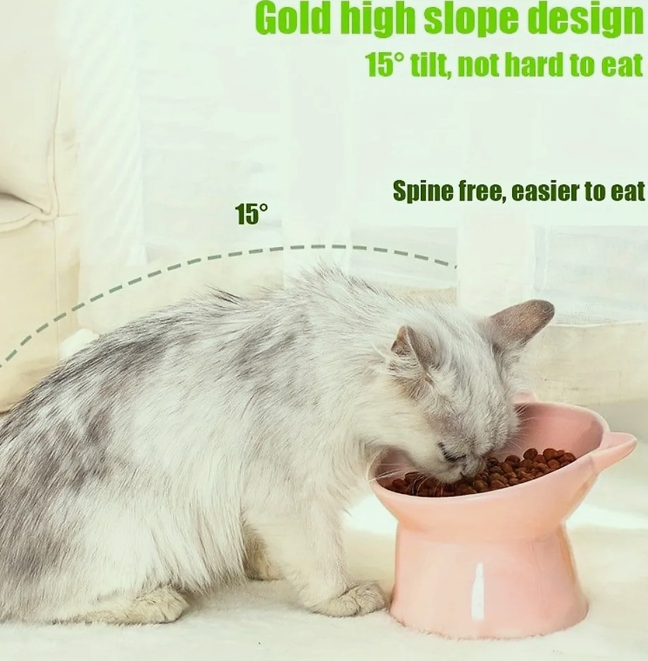 Novelty Moon Cat Ear Raised Pet Bowl Elevated Feeder — assembled view