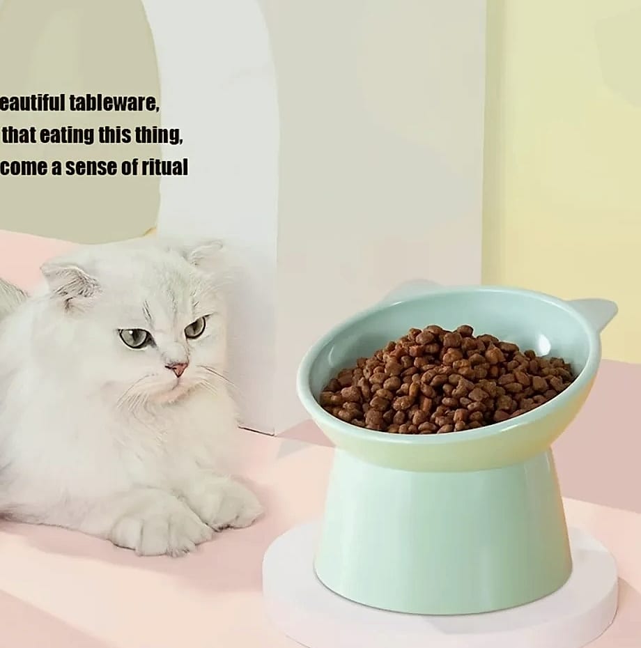 Novelty Moon Cat Ear Raised Pet Bowl Elevated Feeder — close-up details