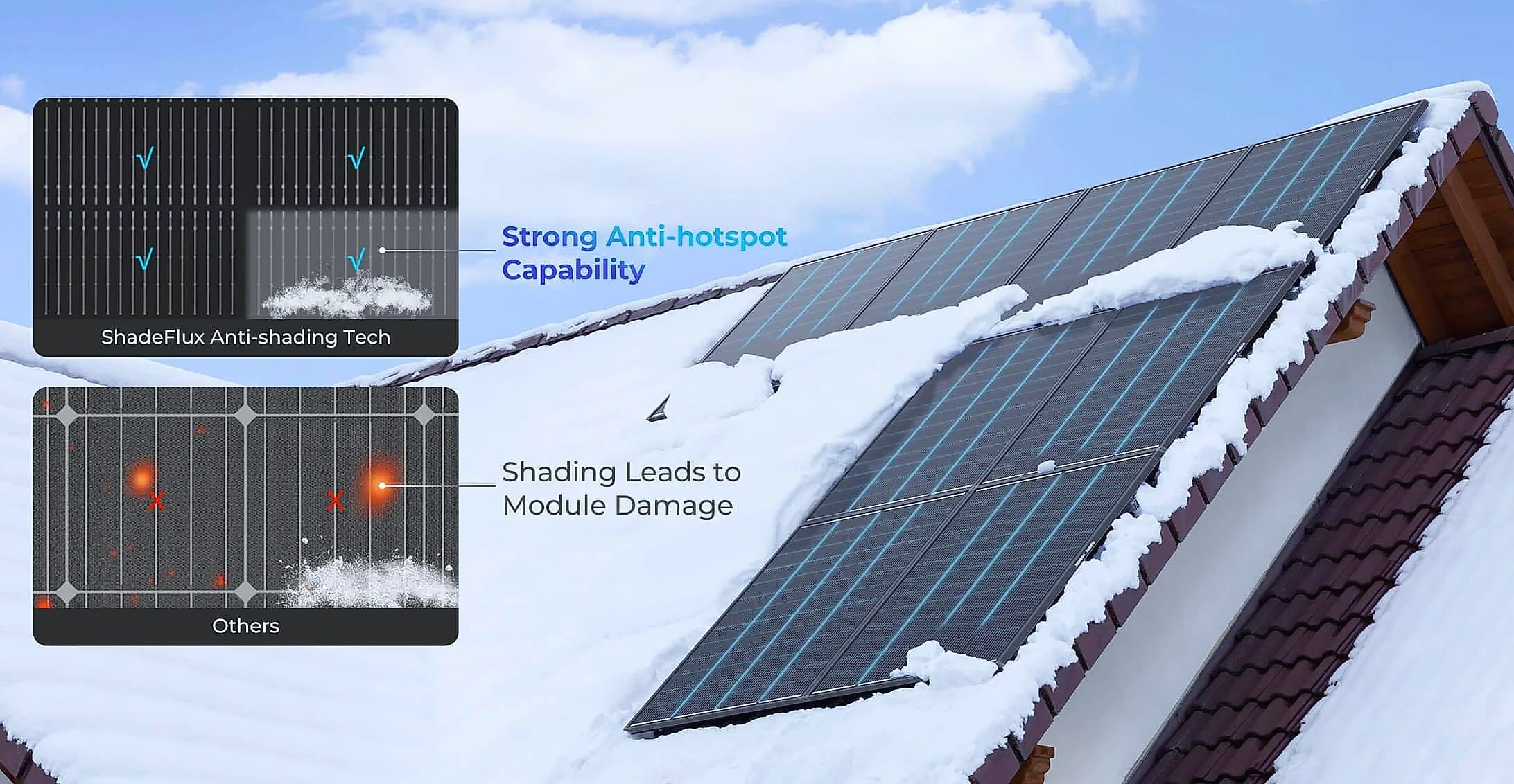 Renogy 200W ShadowFlux N-Type Solar Panel 12V — scale reference