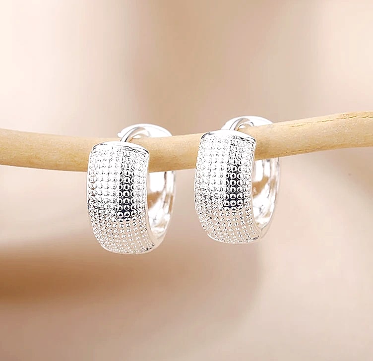 Small Hoop Earrings Stainless Steel Gold Silver Pierced — feature highlights
