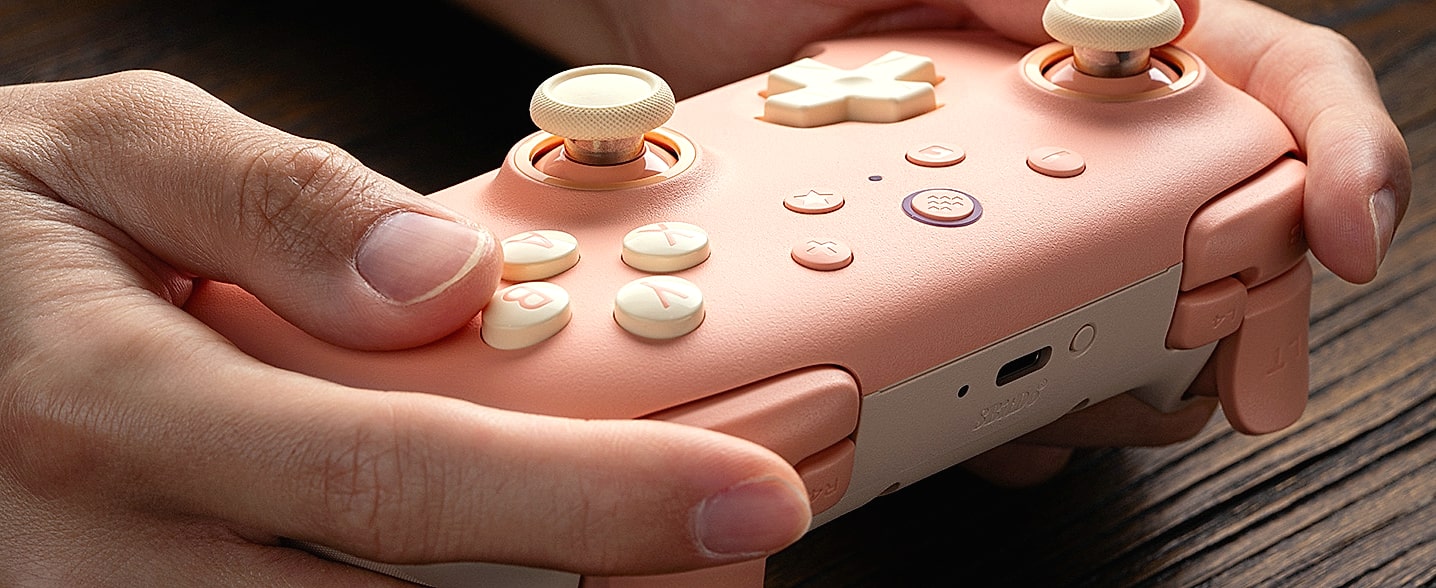 8Bitdo Ultimate 2C Wireless Controller for PC and Android — package contents