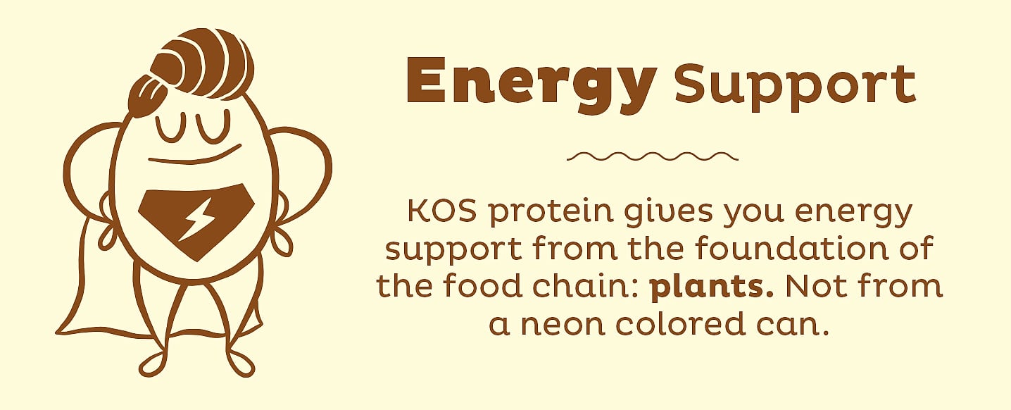 KOS Plant Based Vanilla Protein Powder, Organic Vegan — package contents