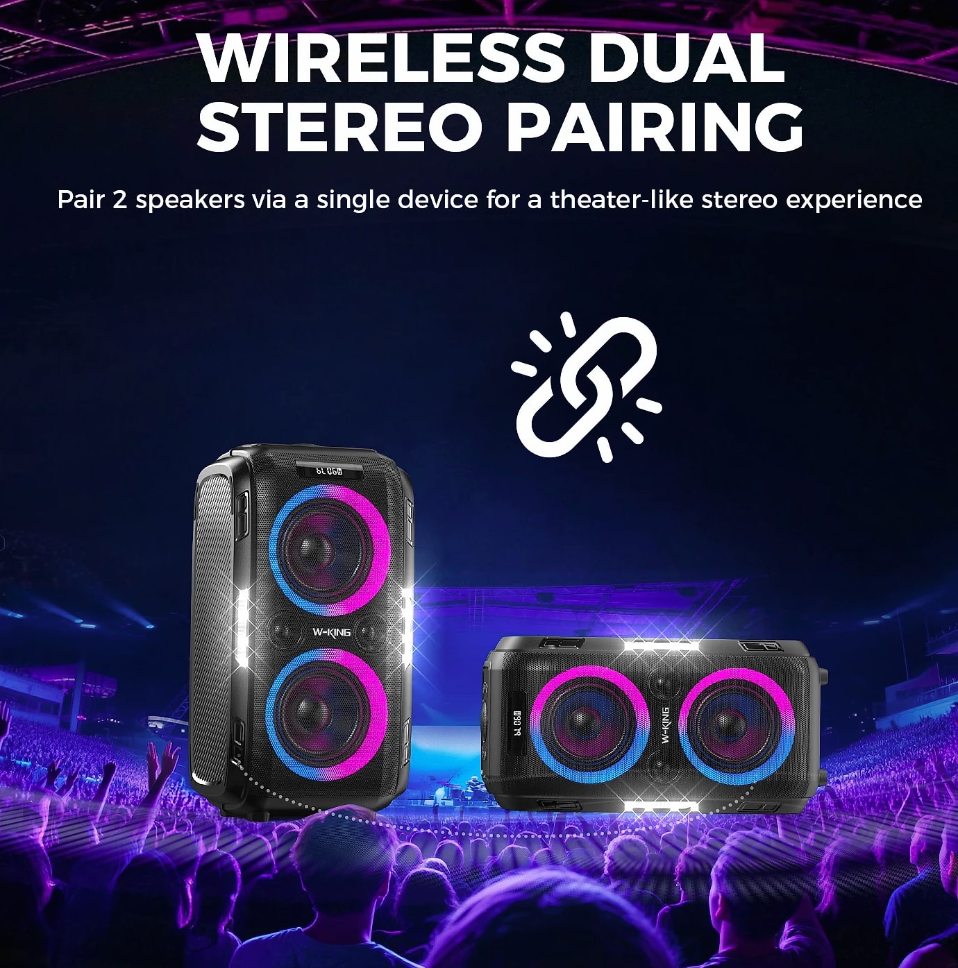 W-King 250W Peak Bluetooth Speaker with 120dB Bass — close-up details