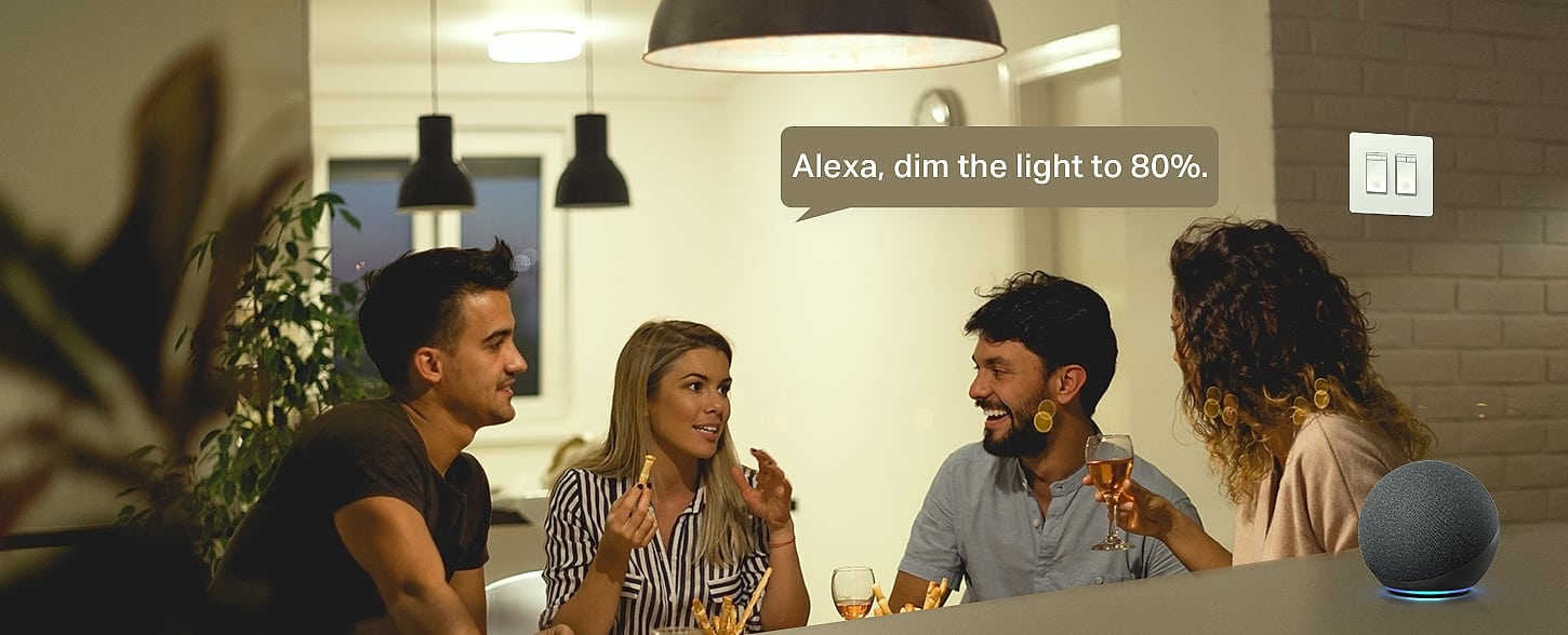 Kasa Smart HS200-2 2-Gang Wi-Fi Light Switch for Alexa — build progress