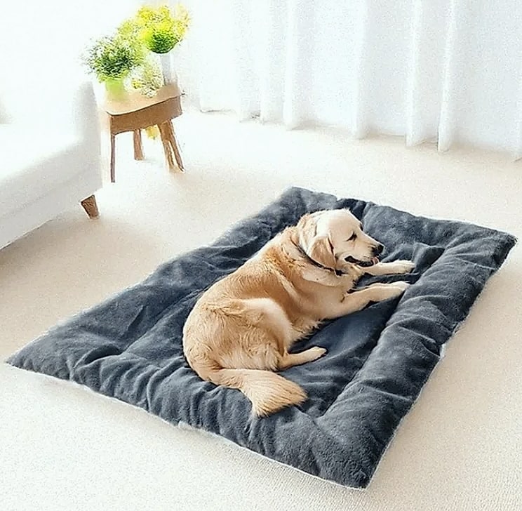 Booteely Extra Large Plush Dog Bed Sofa, 120cm Pet Mat — scale reference