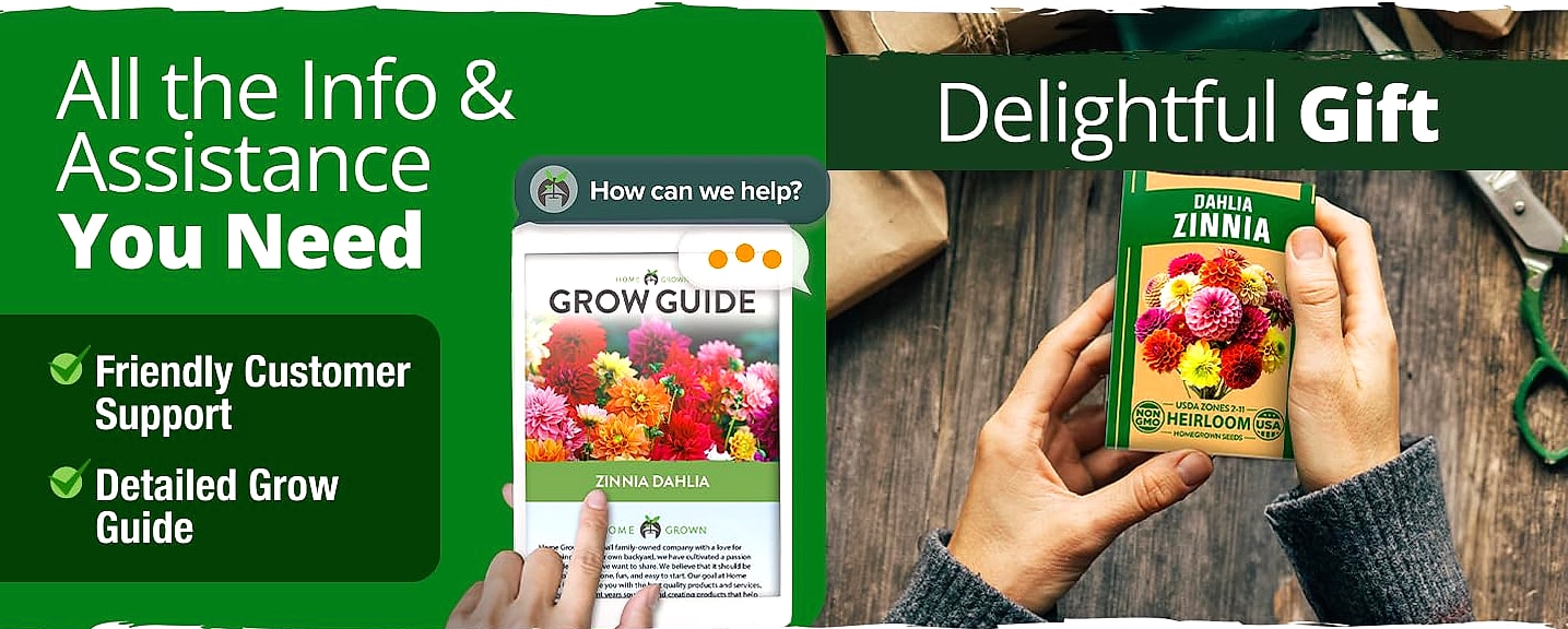HOME GROWN Zinnia Dahlia Seeds 524 Pack Non-GMO Flowers — close-up details