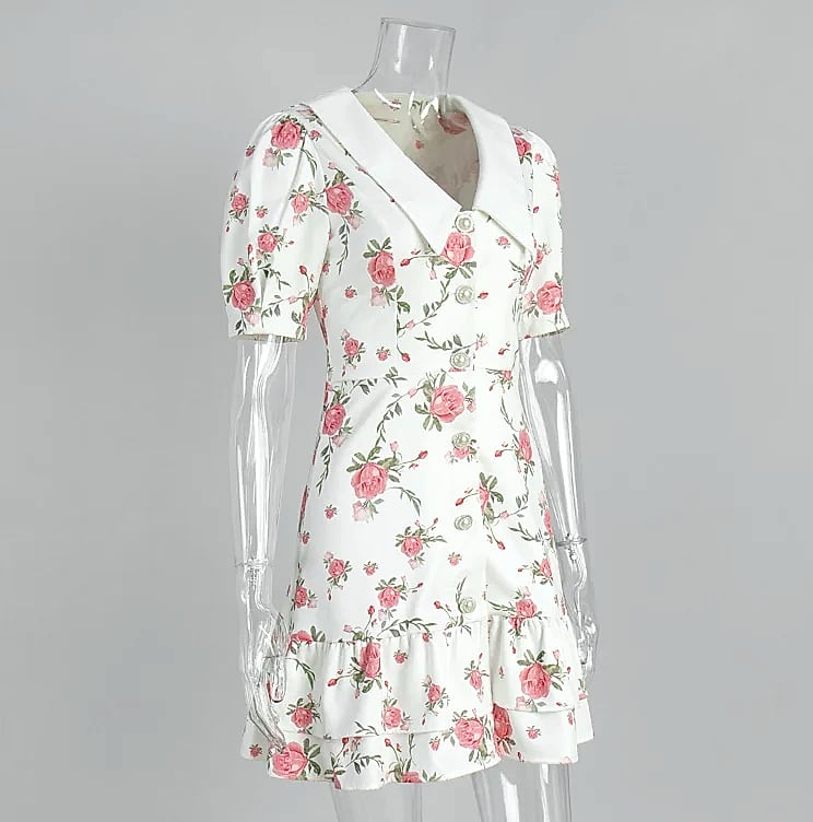 btuce Floral Printed A-line Dress with Puff Sleeves — feature highlights