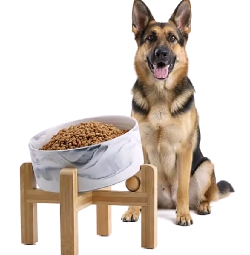 Elevated Ceramic Dog Bowl with Bamboo Stand 7.6-Cup Pet — package contents