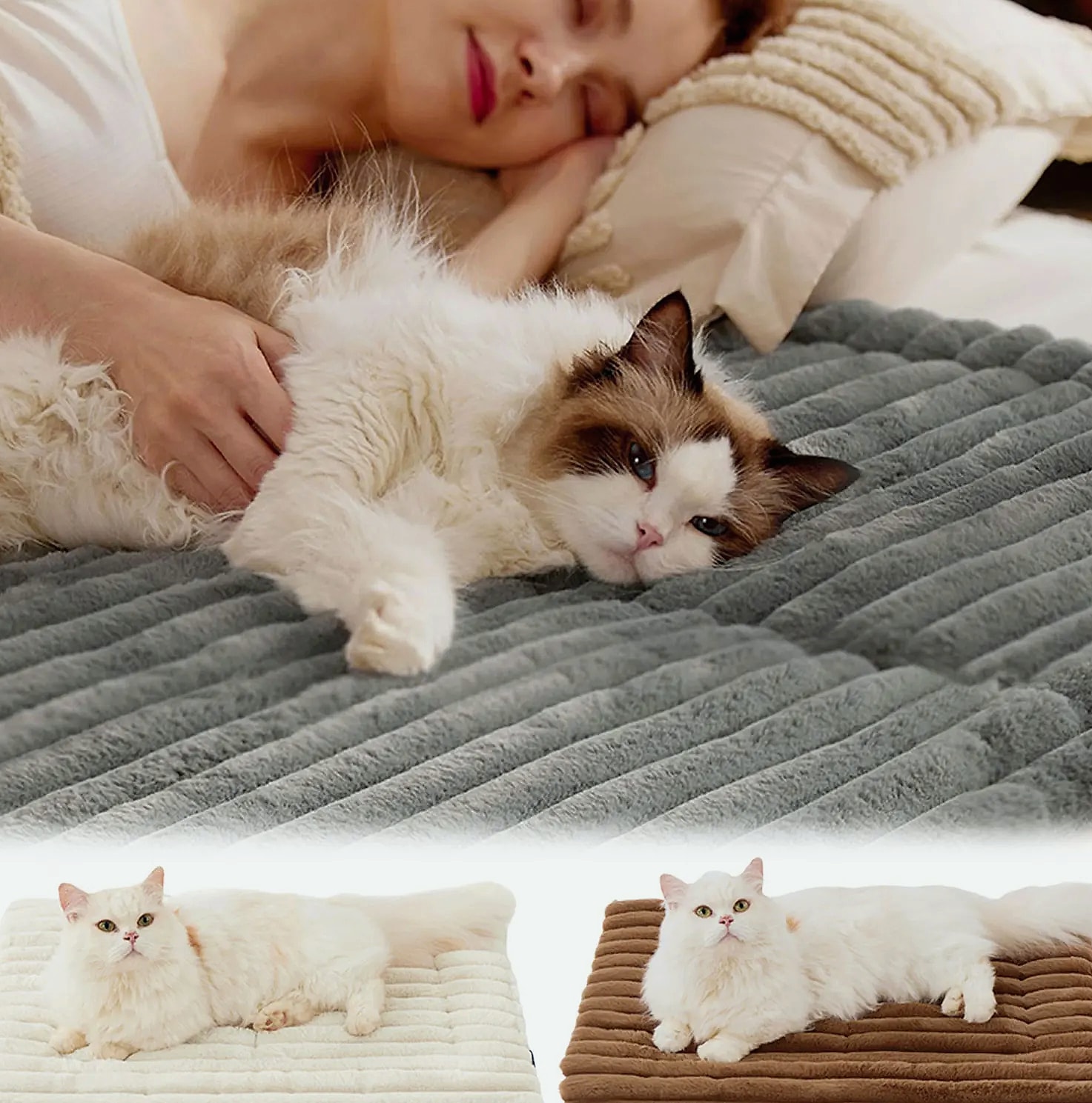 DOORSACCERY Self-Warming Pet Bed Mat for Cats and Dogs — scale reference