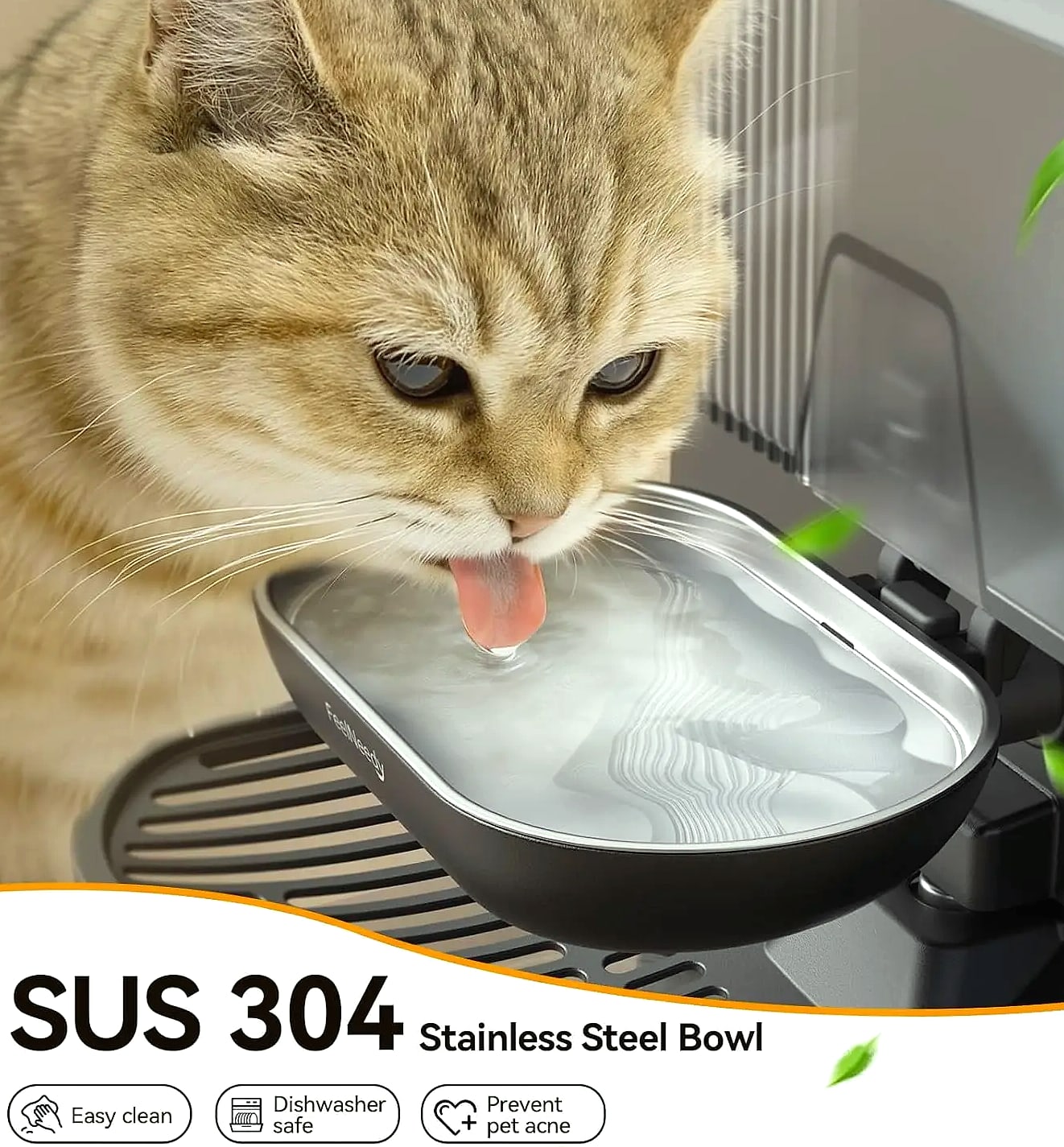 Cordless Pet Water Fountain with Wastewater Separation — scale reference