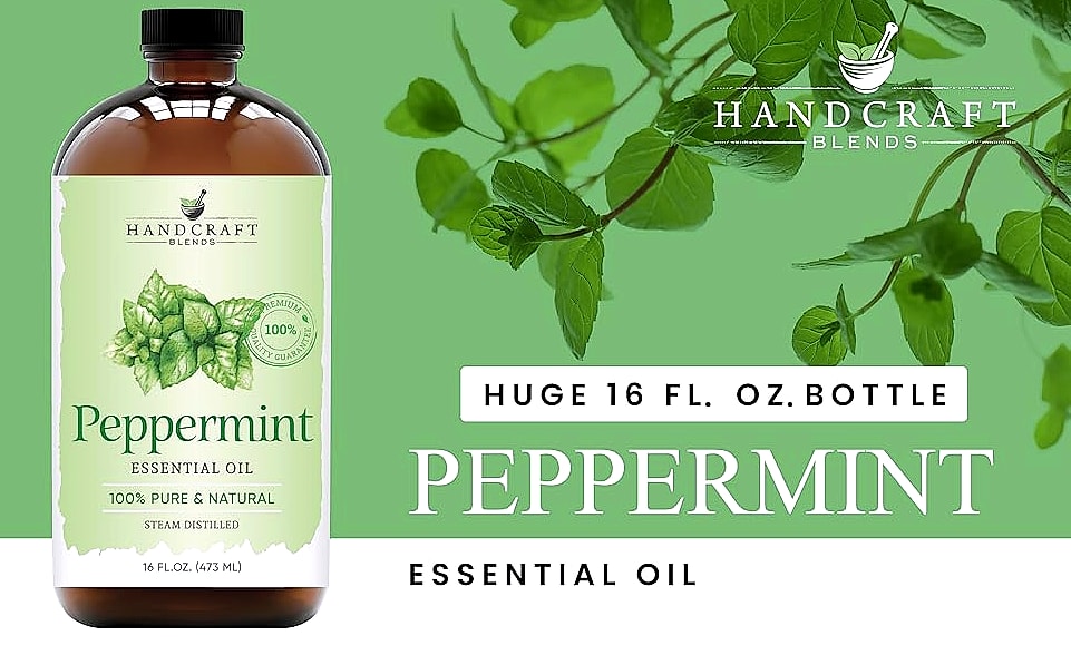 Handcraft Blends Peppermint Essential Oil 4 Fl Oz — build progress