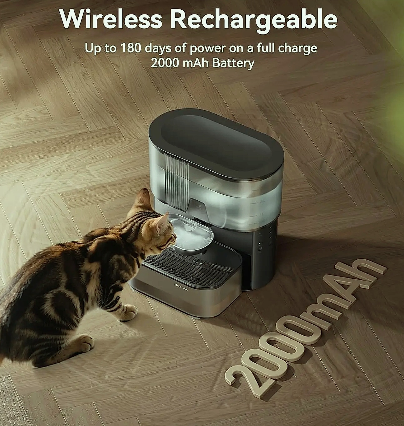 Cordless Pet Water Fountain with Wastewater Separation — side view