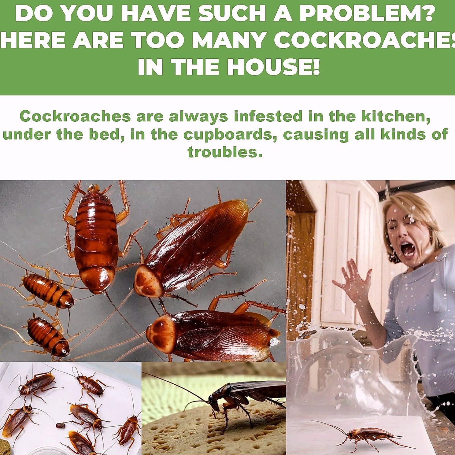 Cockroach Killer Bait Station Sticker, 12-Pack Natural — scale reference