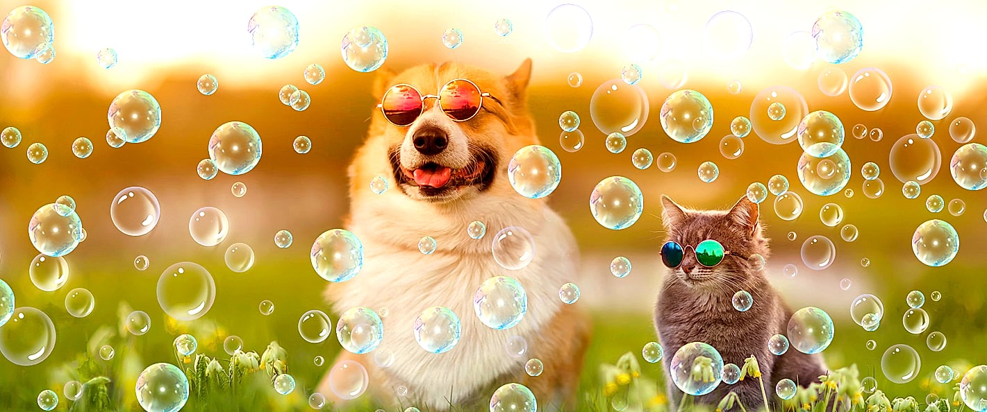 Sizonjoy Automatic Bubble Machine with 6 Wands, 18000+ — feature highlights