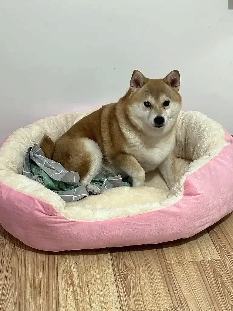 Soft Warm Dog Bed Basket for Medium Large Dogs Cat House — scale reference
