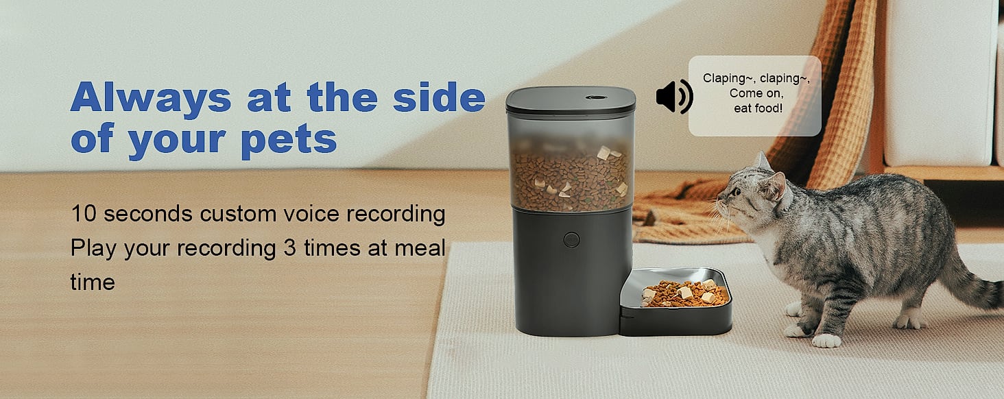 ANDOLL HOME Automatic Cat Feeder 4L with Voice Recorder — feature highlights