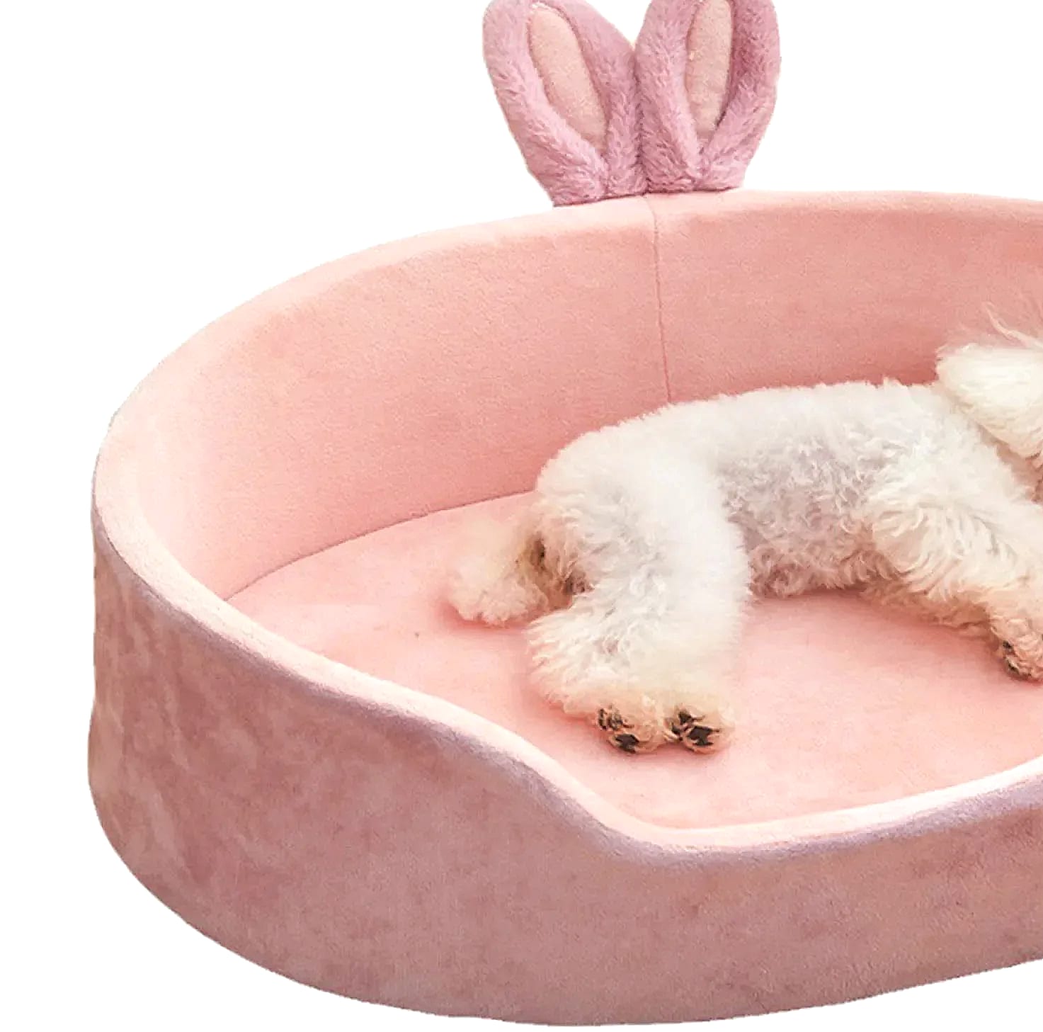 Soft Detachable Pet Bed for Dogs and Cats, Washable — close-up details