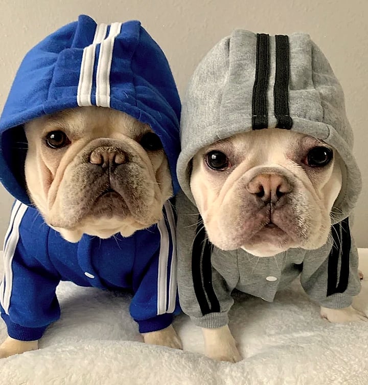 WANGMEOW Adidog Dog Jumpsuit Warm Hoodies Pet Clothing — close-up details
