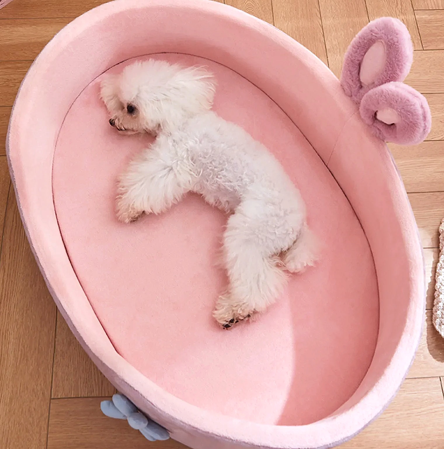 Soft Detachable Pet Bed for Dogs and Cats, Washable — package contents