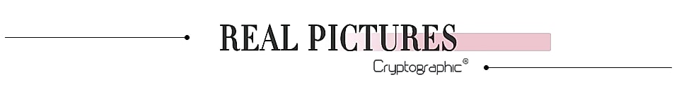 Cryptographic Summer Floral Plunge Maxi Dress Backless — assembled view