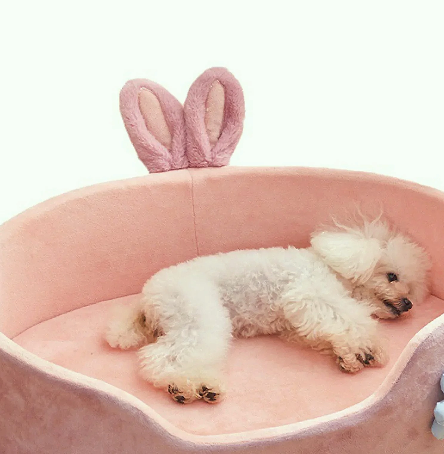 Soft Detachable Pet Bed for Dogs and Cats, Washable — build progress