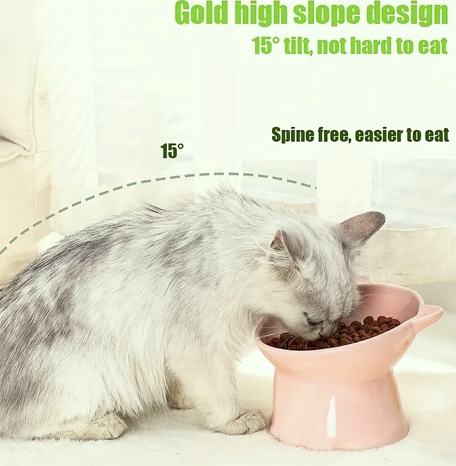 AEHOME Cat-Ear Elevated Pet Bowl Feeder for Cats — assembled view