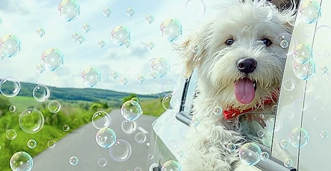 Sizonjoy Automatic Bubble Machine with 6 Wands, 18000+ — build progress