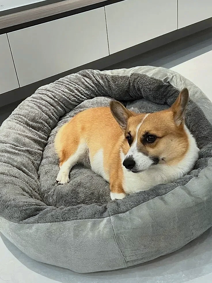 Soft Warm Dog Bed Basket for Medium Large Dogs Cat House — size comparison