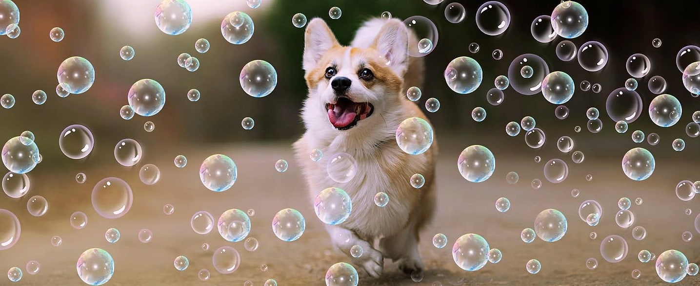 Sizonjoy Automatic Bubble Machine with 6 Wands, 18000+ — assembled view