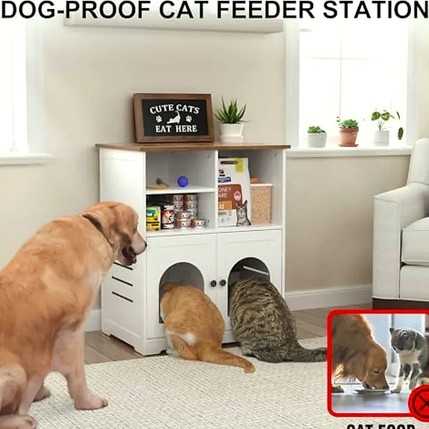 Cat Feeding Station Cabinet with Microchip Pet Feeder Access — feature highlights