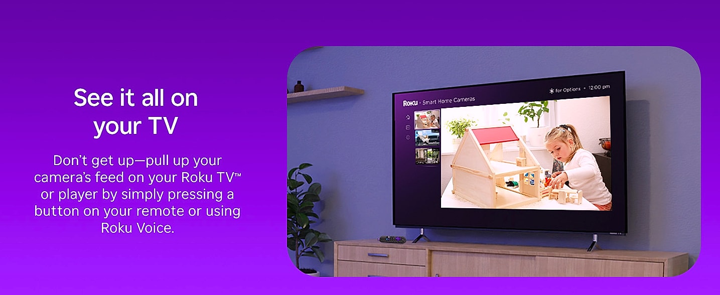 Roku Indoor Camera 4-Pack 1080p HD Night Vision Home — interior detail