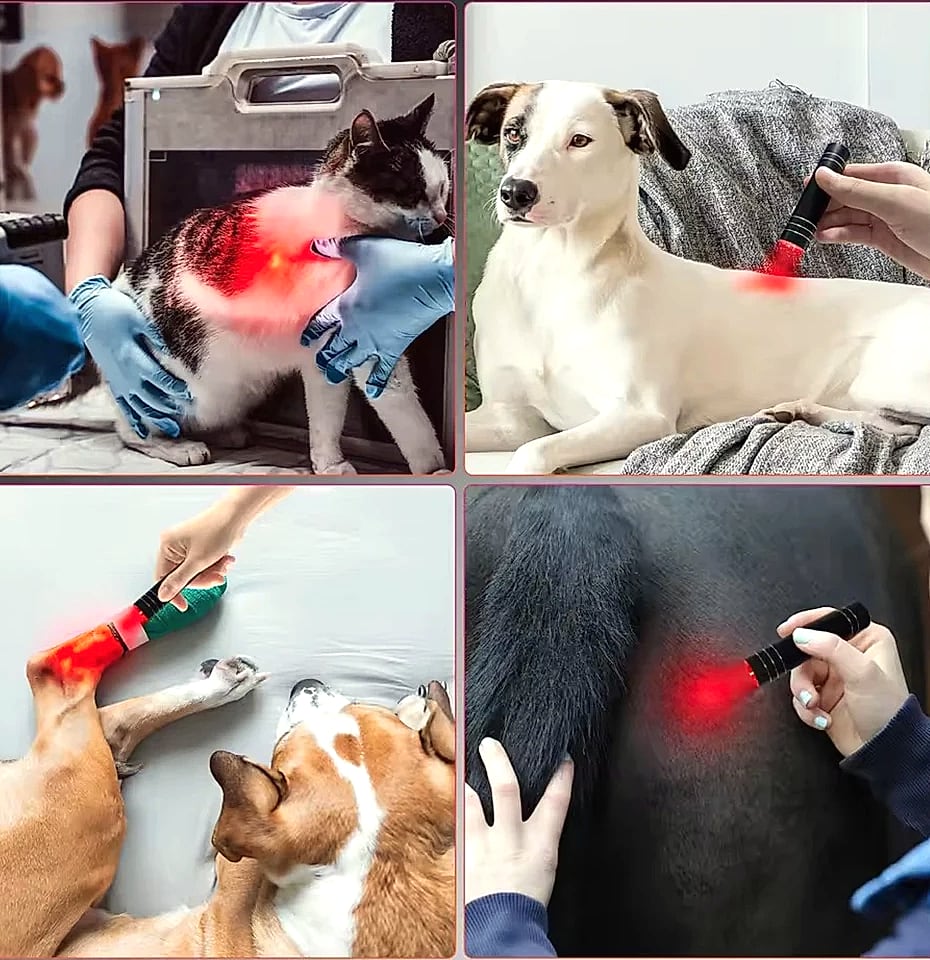 Vilnason Red Light Therapy Flashlight 660nm 850nm LED — feature highlights