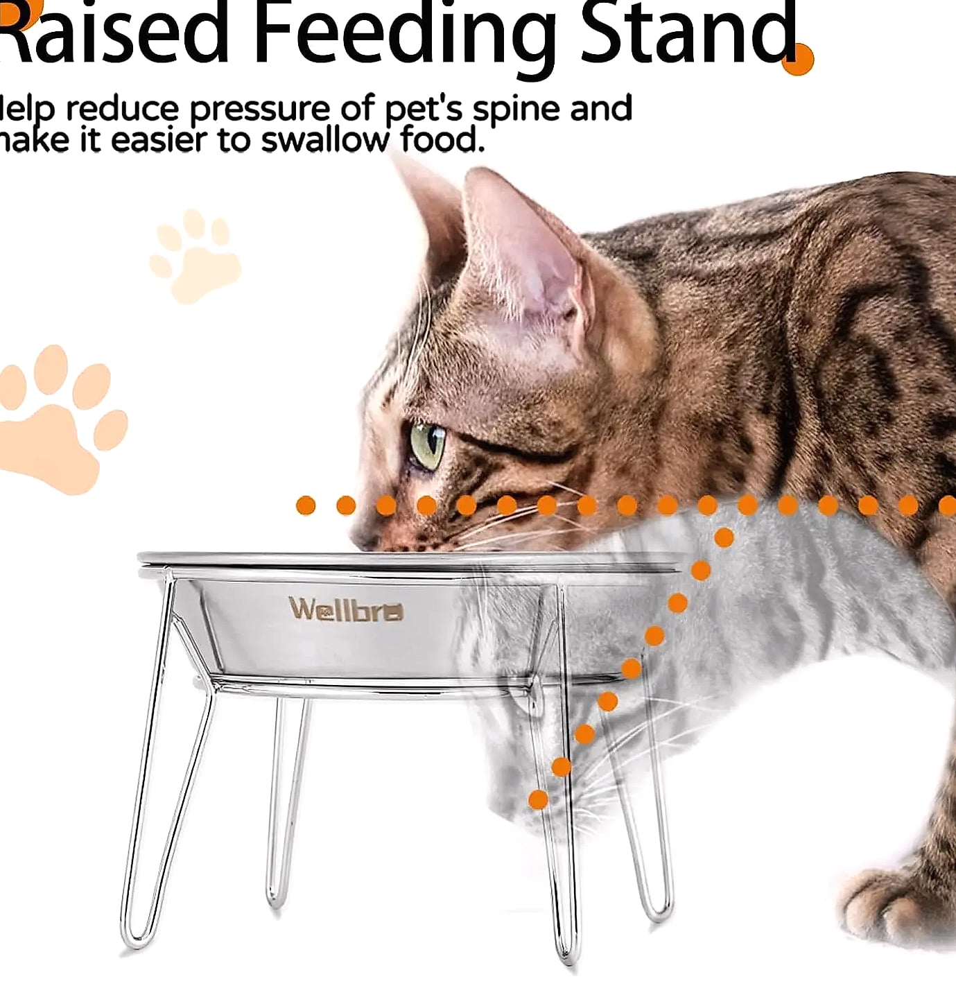 4-Pack Stainless Steel Raised Pet Bowls for Cats — assembled view