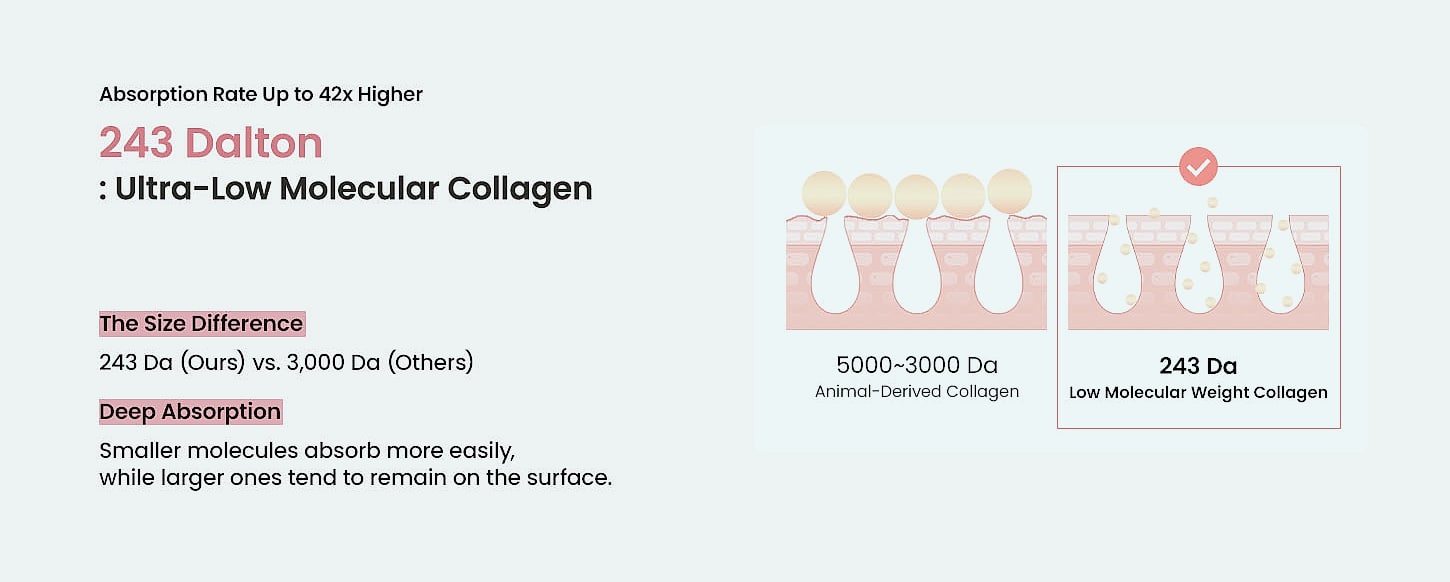 BIODANCE Bio-Collagen Real Deep Mask Hydrogel Sheet 4 Pack — assembled view